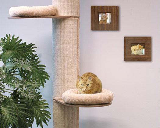 Der richtige Standort für den Kratzbaum